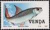 Colnect-2840-136-African-Tigerfish-Hydrocynus-vittatus.jpg