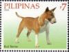 Colnect-2854-042-Bull-Terrier-Canis-lupus-familiaris.jpg