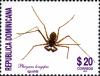 Colnect-2908-713-Spider-Phrynus-longipes.jpg