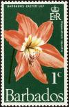 Colnect-4398-400-Barbados-Easter-Lily-Hippeastrum-equestre.jpg