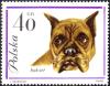 Colnect-4481-185-German-Boxer-Canis-lupus-familiaris.jpg