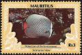 Colnect-3551-924-Redtail-Butterflyfish-Chaetodon-collare.jpg