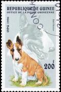 Colnect-3570-139-Bull-Terrier-Canis-lupus-familiaris.jpg