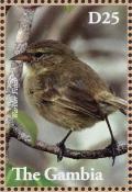 Colnect-3805-305-Green-Warbler-Finch-Certhidea-olivacea.jpg