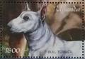 Colnect-6075-908-Bull-Terrier-Canis-lupus-familiaris.jpg