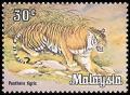 Colnect-982-837-Tiger-Panthera-tigris.jpg