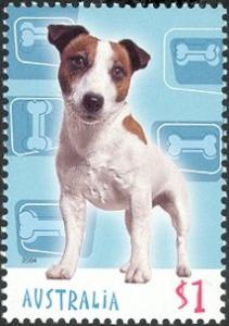 Colnect-725-292-Jack-Russell-Terrier-Canis-lupus-familiaris.jpg