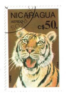 Colnect-955-215-Tiger-Panthera-tigris.jpg