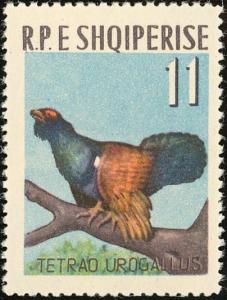 Colnect-1156-559-Western-Capercaillie%C2%A0Tetrao-urogallus.jpg