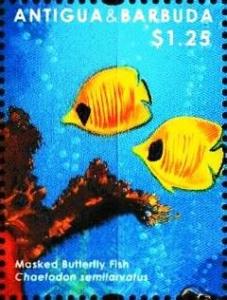 Colnect-5942-820-Blue-cheeked-Butterflyfish-Chaetodon-semilarvatus.jpg