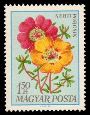 1931_Flowers_150.jpg