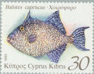 Colnect-178-705-Grey-Triggerfish-Balistes-capriscus.jpg