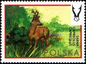 Colnect-1980-832-Roe-Deer-Capreolus-capreolus.jpg