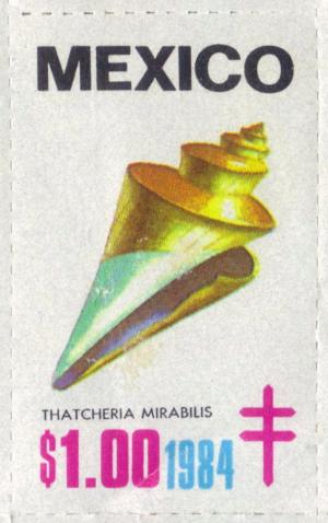 Colnect-2207-034-Japonese-wonder-shell-Thatcheria-mirabilis.jpg