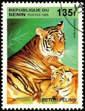 Colnect-2571-405-Tiger-Panthera-tigris.jpg