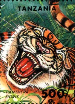 Colnect-3479-804-Tiger-Panthera-tigris.jpg