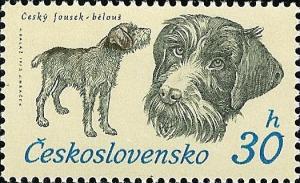 Colnect-414-061-Czech-Whisker-Canis-lupus-familiaris.jpg