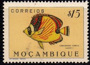 Colnect-594-957-Raccoon-Butterflyfish-Chaetodon-lunula.jpg