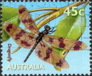 Colnect-5972-900-Graphic-Flutterer-Rhyothemis-graphiptera-.jpg