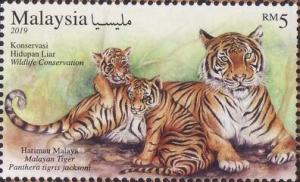 Colnect-5985-275-Malayan-Tiger-Panthera-tigris-jacksoni.jpg