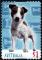 Colnect-2576-969-Jack-Russell-Terrier-Canis-lupus-familiaris.jpg