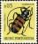Colnect-4489-183-Long-horned-Borer-Beetle-Analeptes-trifasciata.jpg