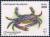 Colnect-5142-435-Blue-swimmer-crab-Portunus-pelagicus.jpg