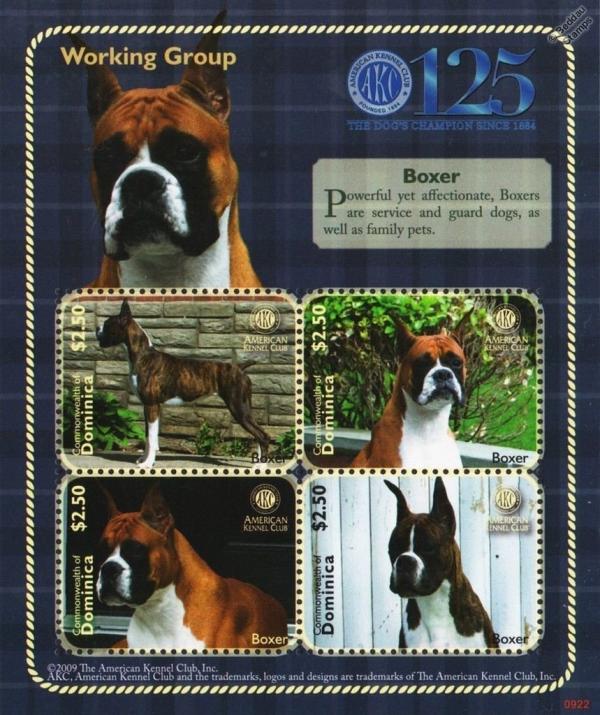 Colnect-3278-358-German-Boxer-Canis-lupus-familiaris.jpg