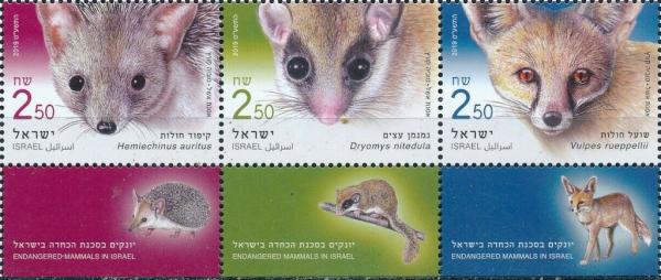 Colnect-5796-041-Endangered-Mammals-of-Israel.jpg