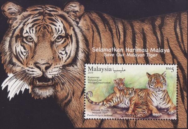 Colnect-5985-274-Malayan-Tiger-Panthera-tigris-jacksoni.jpg