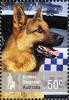 Colnect-472-684-German-Shepherd-Canis-lupus-familiaris.jpg