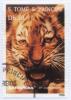 Colnect-938-292-Tiger-Panthera-tigris.jpg
