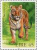 Colnect-129-543-Tiger-Panthera-tigris.jpg