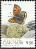Colnect-3181-222-Common-Copper-Lycaena-phlaeas-from-m-s.jpg