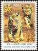 Colnect-6154-379-Tiger-Panthera-tigris.jpg
