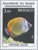 Colnect-149-160-Redtail-Butterflyfish-Chaetodon-collare.jpg