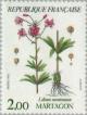 Colnect-145-504-Mountain-flowers-Martagon-Lilium-montanum.jpg