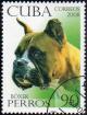 Colnect-1646-545-German-Boxer-Canis-lupus-familiaris.jpg