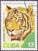 Colnect-1800-998-Tiger-Panthera-tigris.jpg