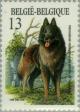 Colnect-186-186-Belgian-Tervueren-Canis-lupus-familiaris.jpg
