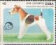 Colnect-2510-246-Fox-Terrier-Canis-lupus-familiaris.jpg