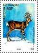Colnect-2688-189-Roe-Deer-Capreolus-capreolus.jpg
