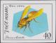 Colnect-3692-104-Paper-Wasp-Polistes-sp.jpg