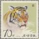 Colnect-4305-939-Tiger-Panthera-tigris.jpg