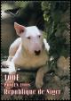 Colnect-5217-102-Bullterrier-Canis-lupus-familiaris.jpg