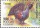Colnect-525-488-Western-Capercaillie-Tetrao-urogallus.jpg