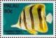 Colnect-5862-037-Copperband-butterflyfish.jpg