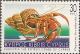 Colnect-649-403-Common-Marine-Hermit-Crab-Pagurus-bernhardus.jpg