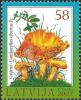 Colnect-3359-275-Golden-Chanterelle-Cantharellus-cibarius.jpg