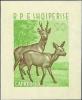 Colnect-1375-751-Roe-Deer-Capreolus-capreolus.jpg
